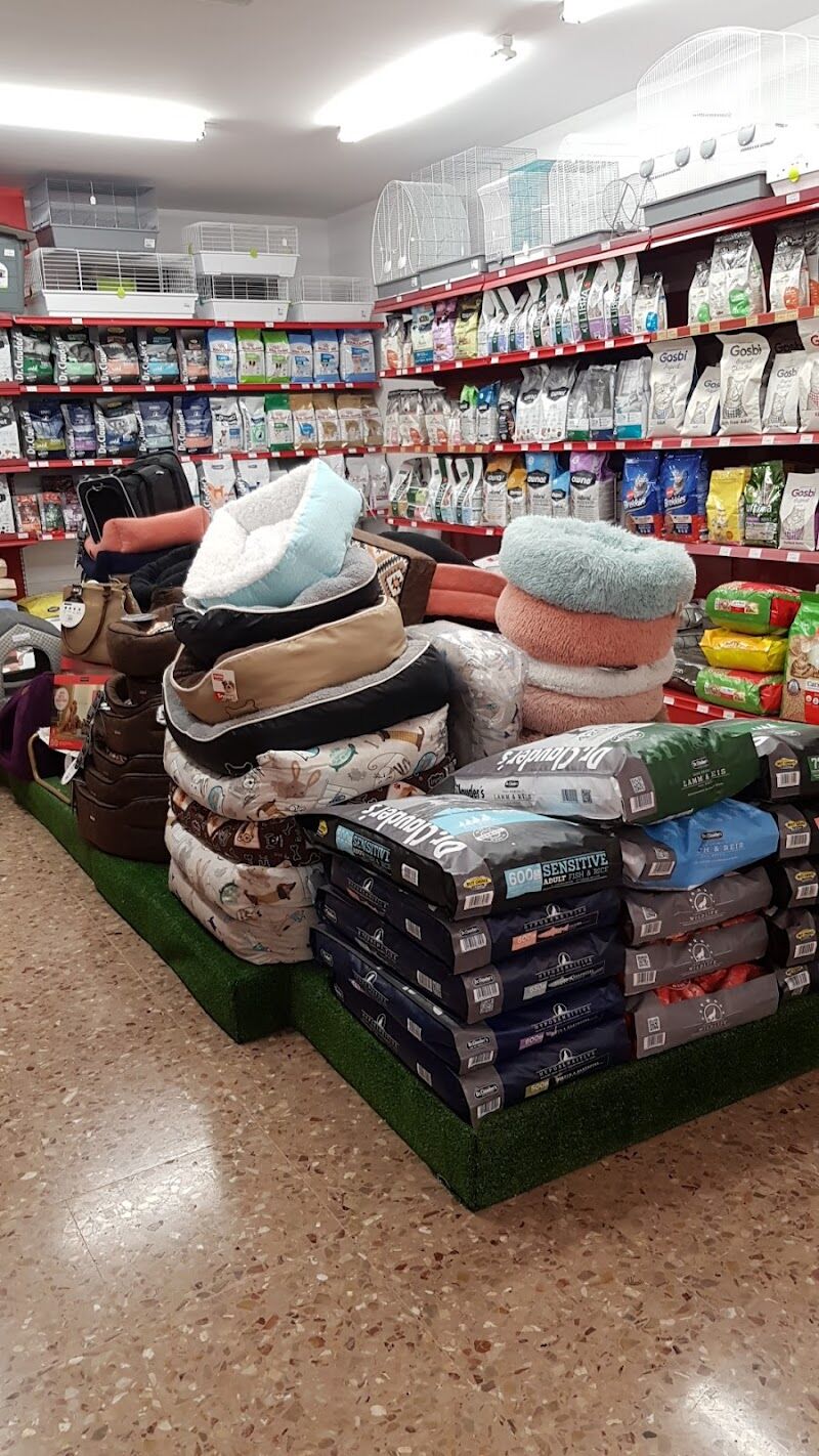 Imagen de Relamidos Fraga