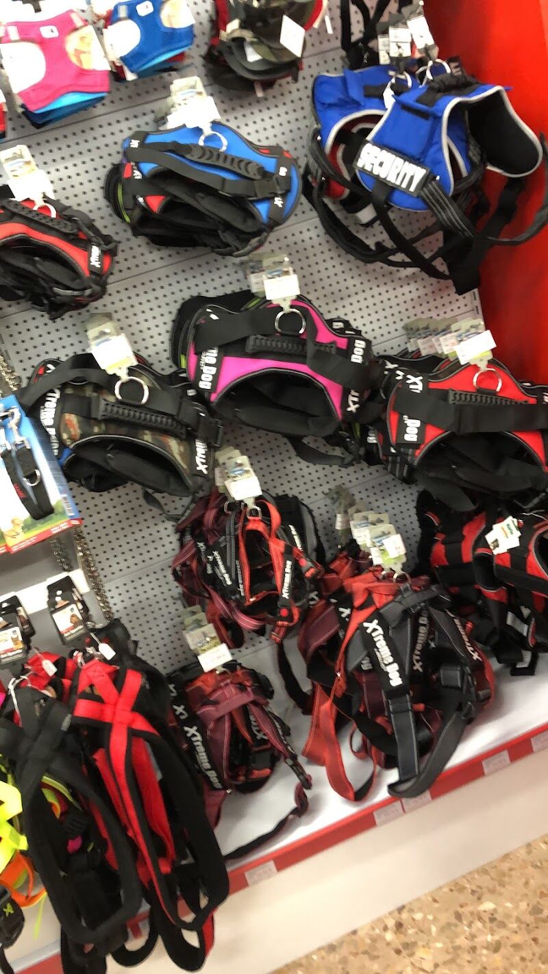 Imagen de Relamidos Fraga