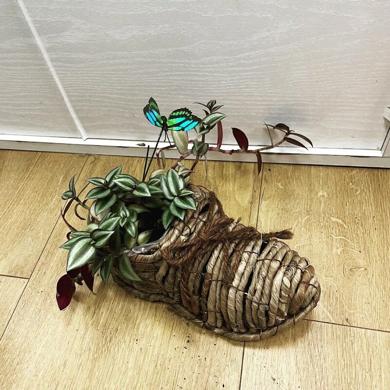 Imagen de negocio en Hogar en Fraga