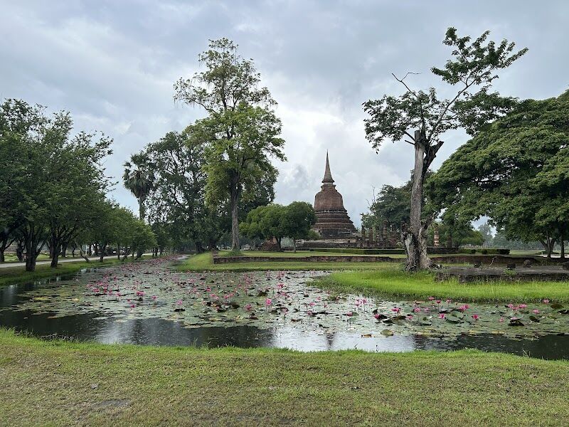 Imagen de Plumia Viajes