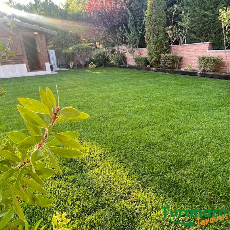 Imagen de Turanaza Jardines Sl