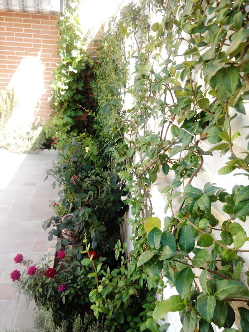 Imagen de Turanaza Jardines Sl