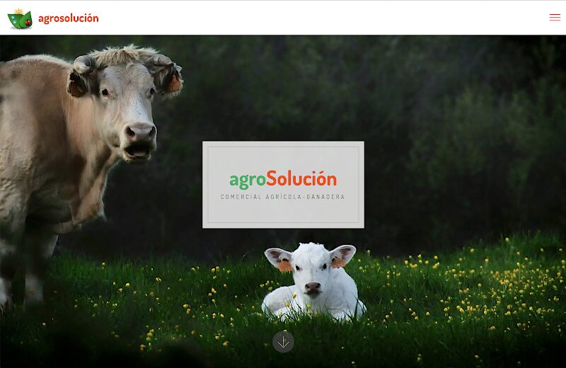 Imagen de negocio en Servicios de ventas en Guadalajara