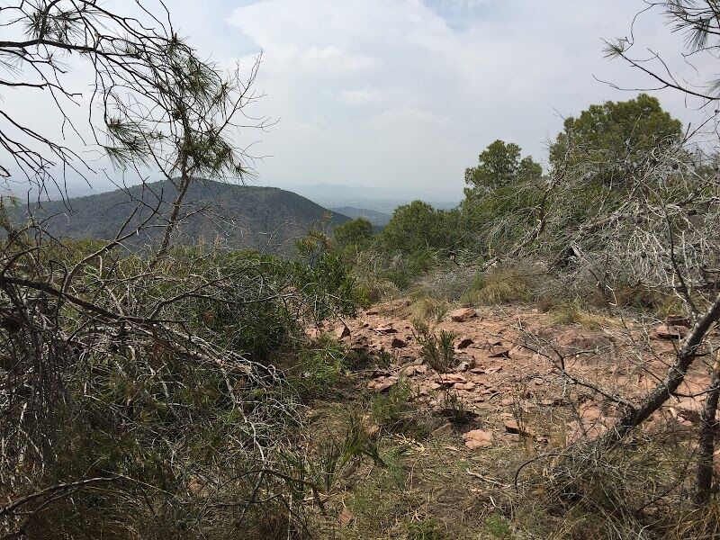 Imagen de negocio en Actividades al aire libre en Vilamarxant