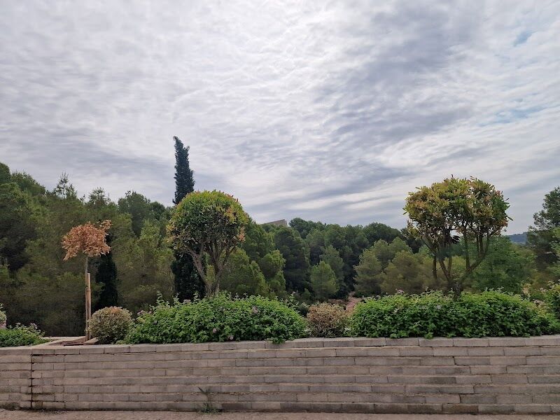 Imagen de Complejo Educativo de Cheste