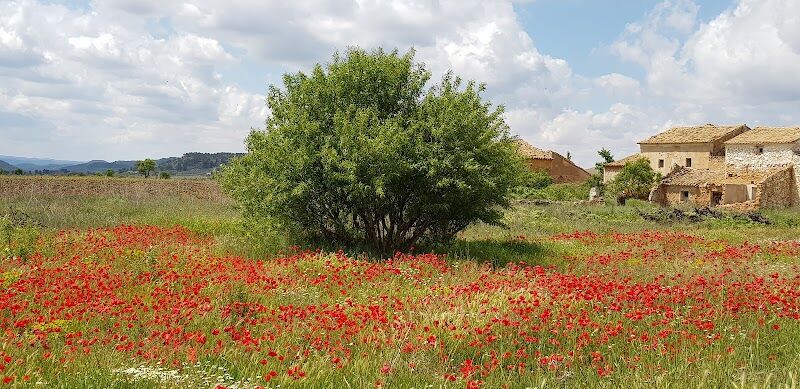 Imagen representativa de la localización
