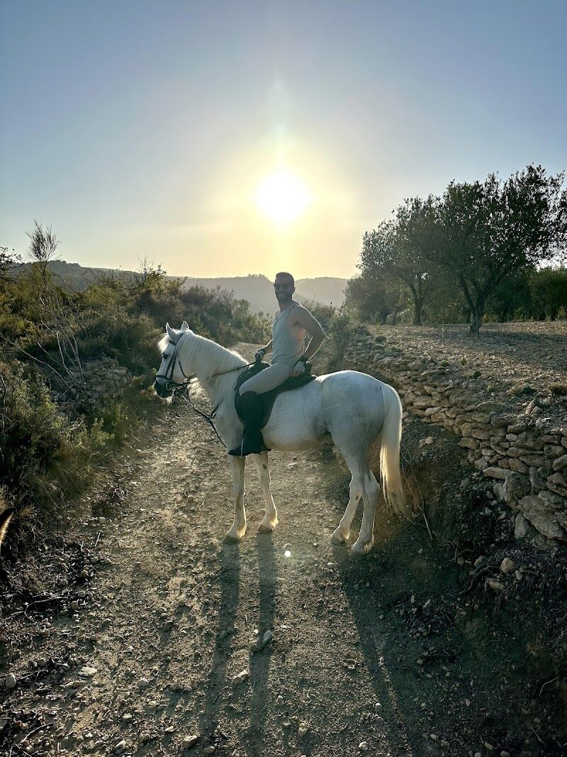 Imagen de Ocio Ecuestre Buñol