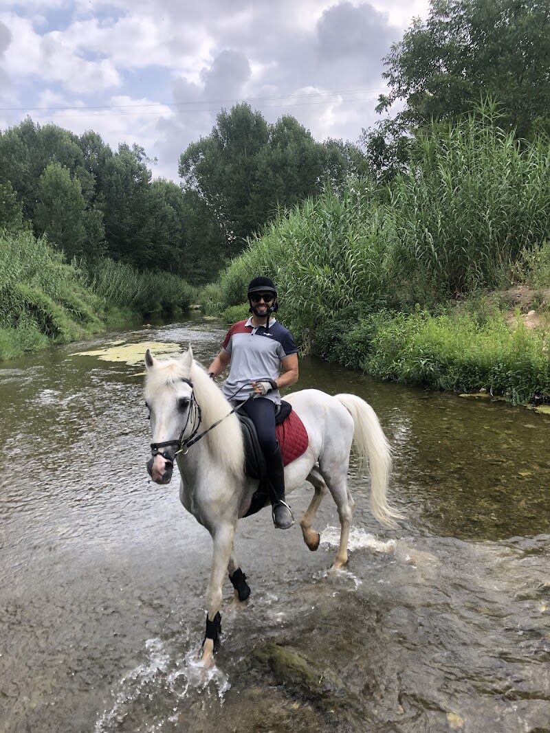 Imagen de Ocio Ecuestre Buñol