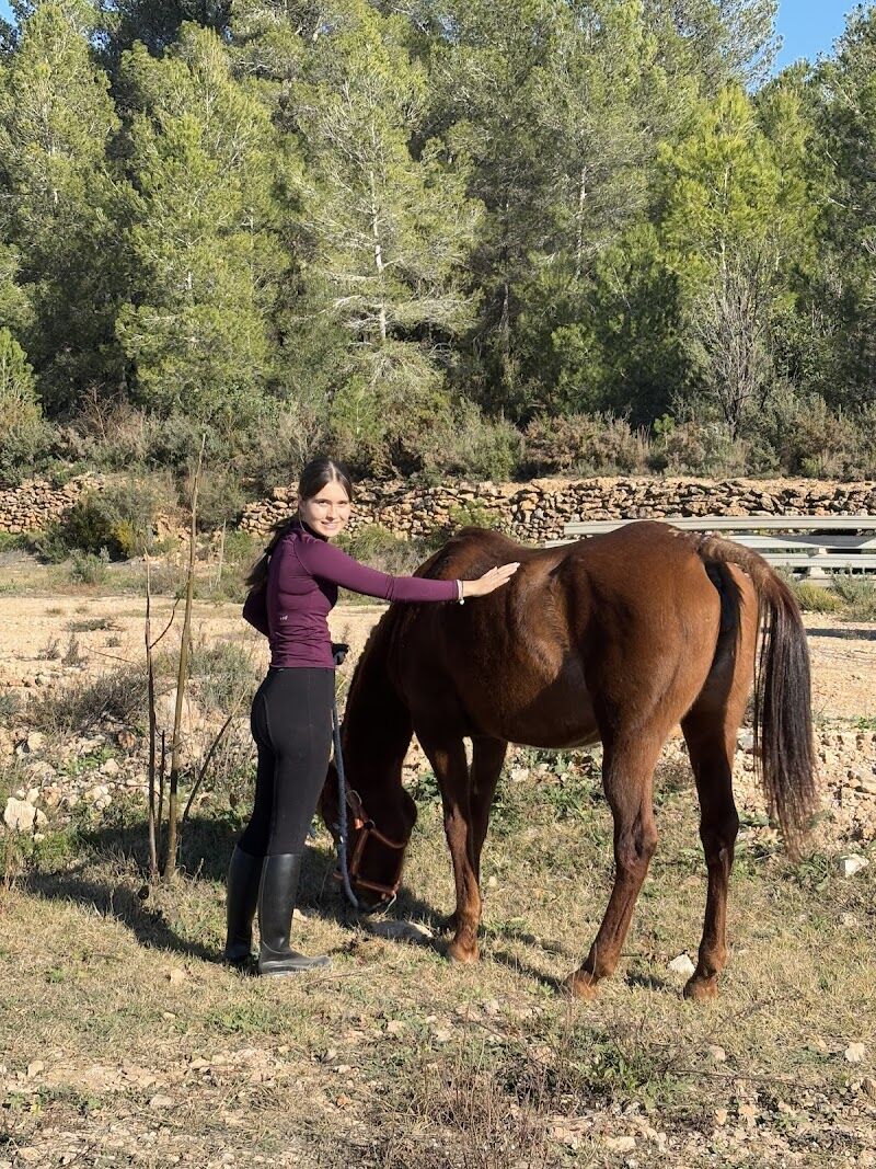 Imagen de Ocio Ecuestre Buñol