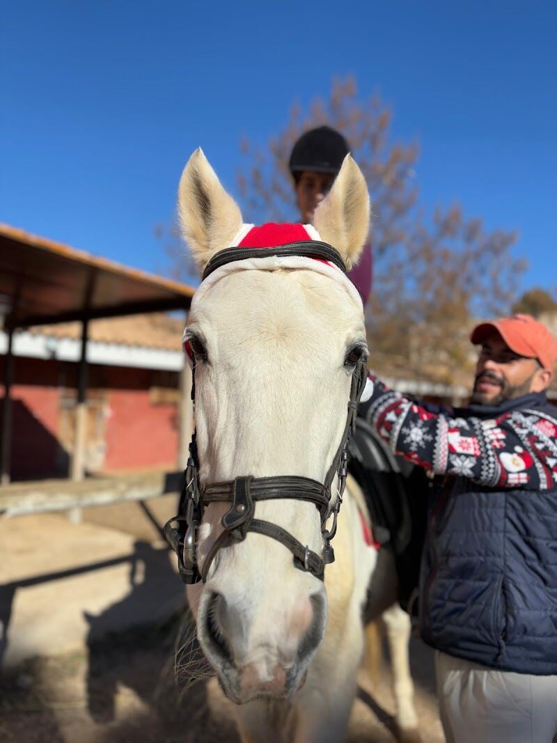 Imagen de Ocio Ecuestre Buñol