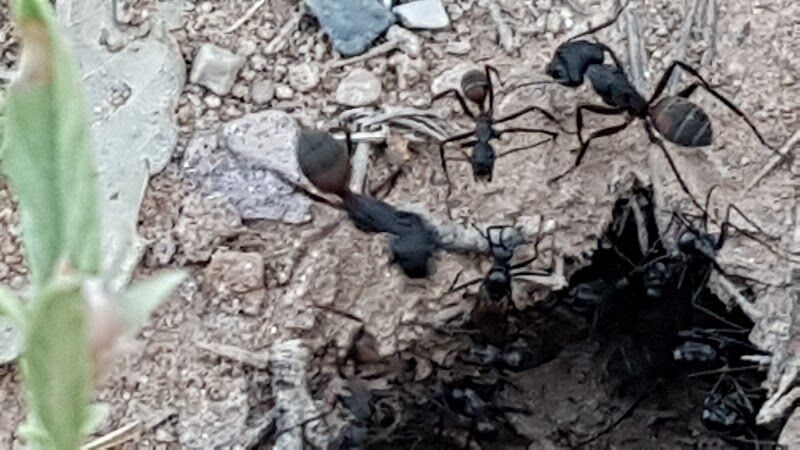 Imagen representativa de la localización