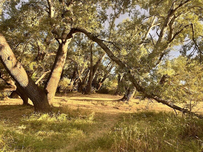Imagen de negocio en Actividades al aire libre en Torremocha de Jarama