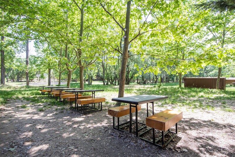 Imagen de Campamento Albergue Sierra Norte