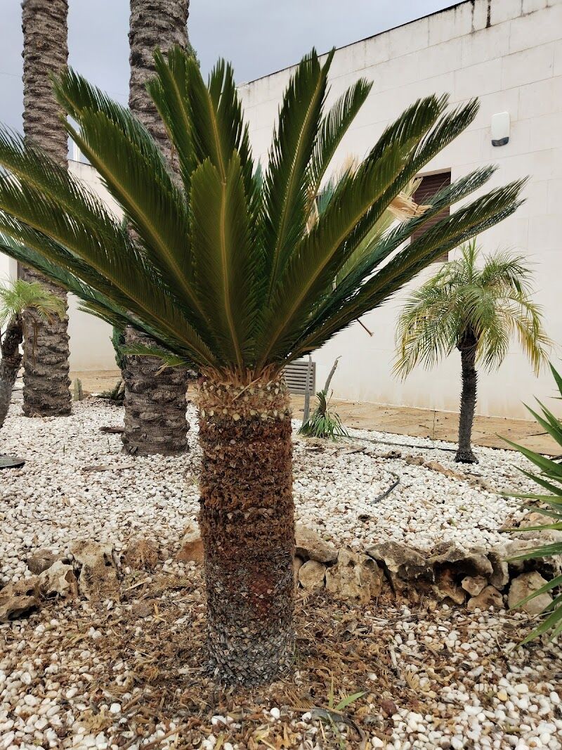 Imagen de negocio en Estructuras exteriores en Región de Murcia