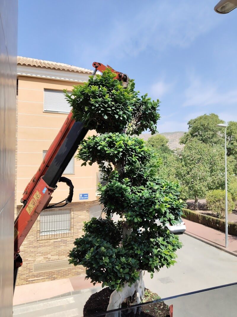 Imagen de negocio en Estructuras exteriores en Región de Murcia