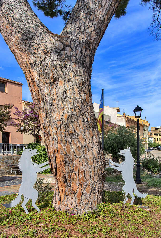 Imagen representativa de la localización