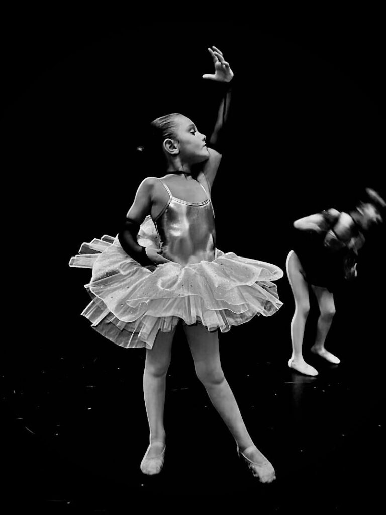 Imagen de La Dansa Estudi