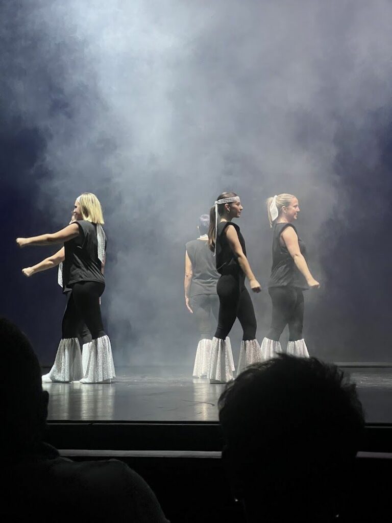 Imagen de La Dansa Estudi