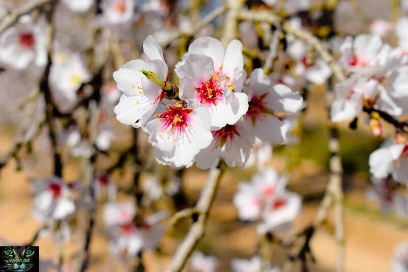 Imagen representativa de la localización