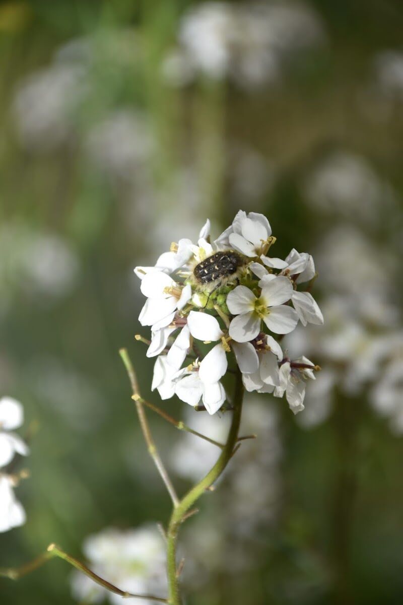 Imagen representativa de la localización