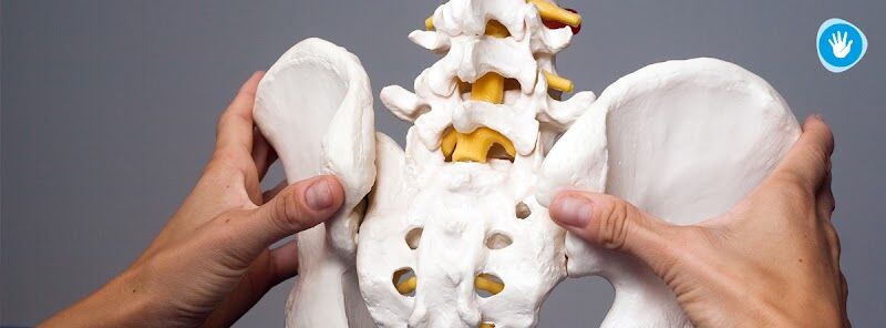Imagen de Centre Osteopatia Lleida
