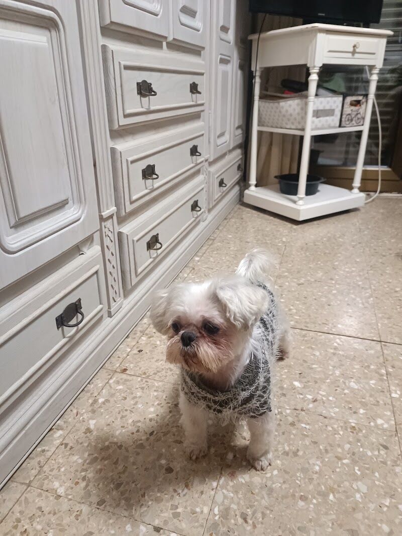 Imagen de negocio en Baño y spa para mascotas en Monzón