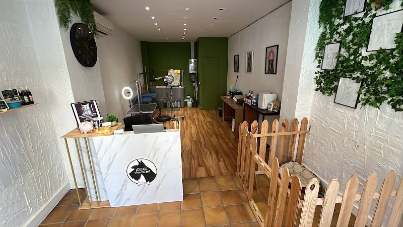 Imagen de Guau Vaya Pelos, Estilismo Canino