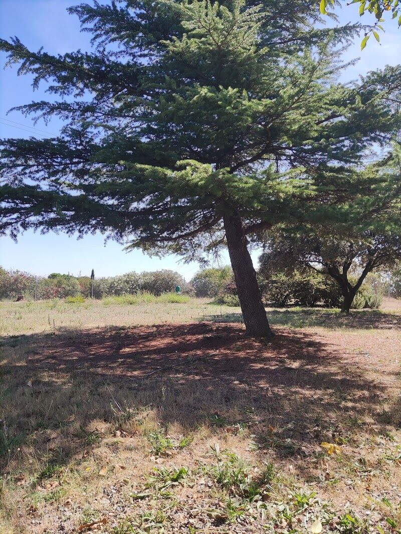Imagen de negocio en Actividades al aire libre en Provincia de Huesca