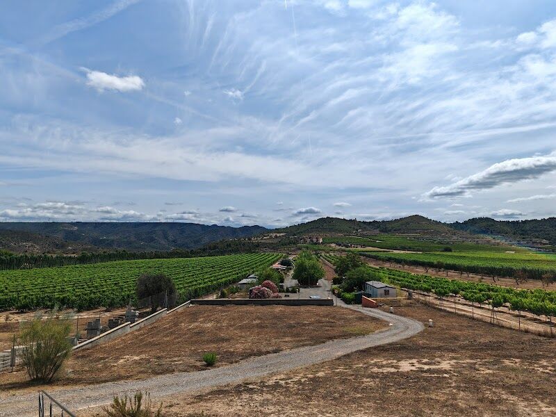 Imagen de Montaña Camping Fayón