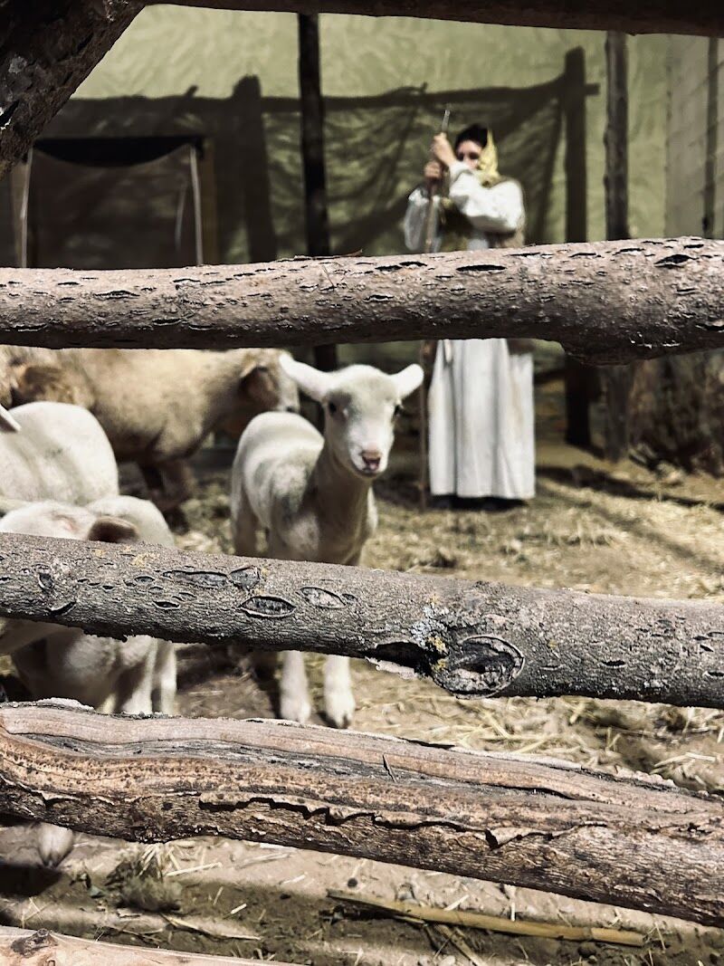 Imagen representativa de la localización