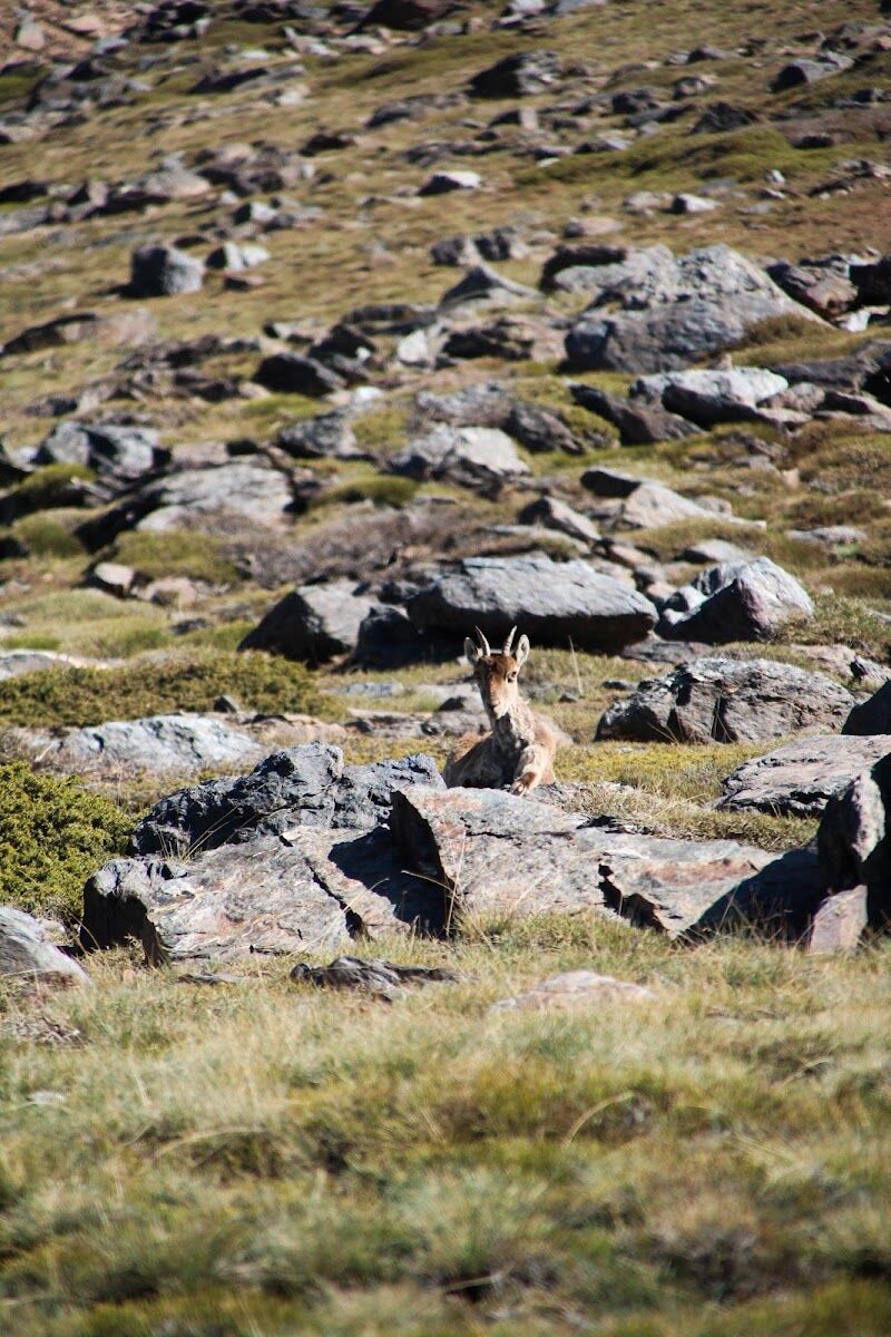 Imagen de negocio en Actividades al aire libre en Capileira