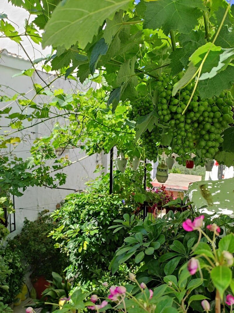 Imagen representativa de la localización