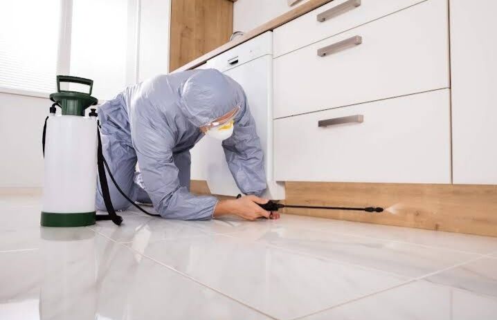 Imagen de Plagaland -control de Plagas Andalucía –