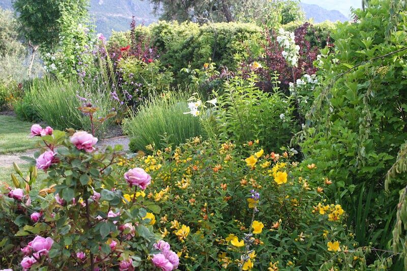 Imagen representativa de la localización