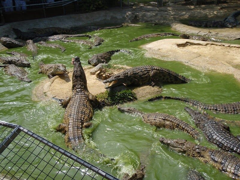 Imagen representativa de la localización