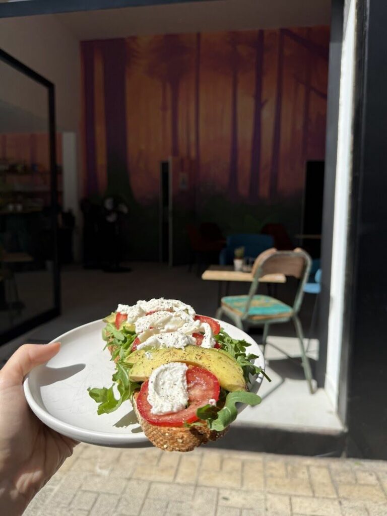 Imagen de Ahó Cultura