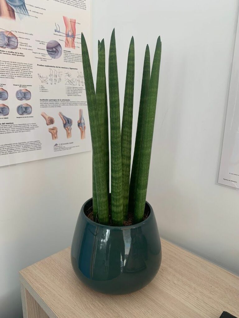 Imagen de Pablo Chanfreut Entrenamiento Personal