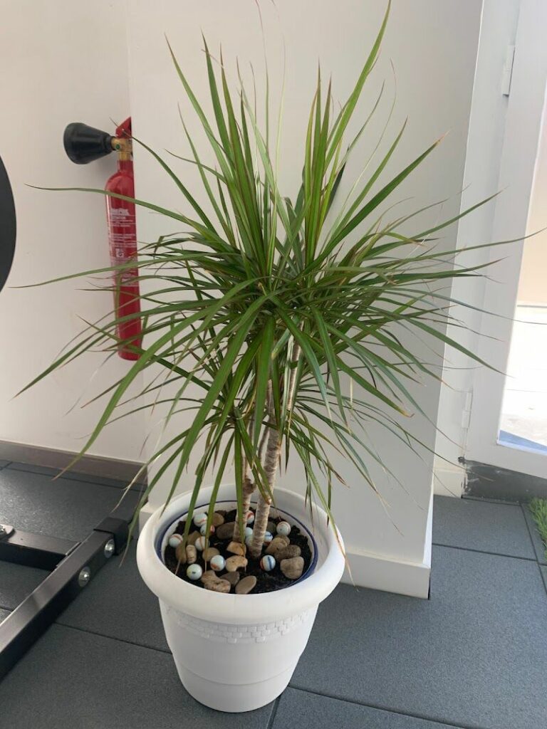 Imagen de Pablo Chanfreut Entrenamiento Personal