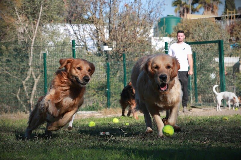 Imagen de negocio en Guardería para mascotas en Malaga