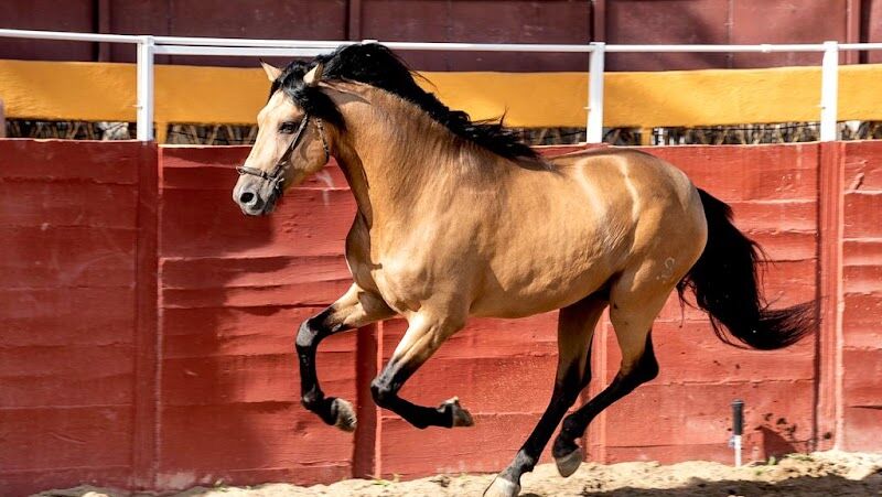 Imagen representativa de la localización