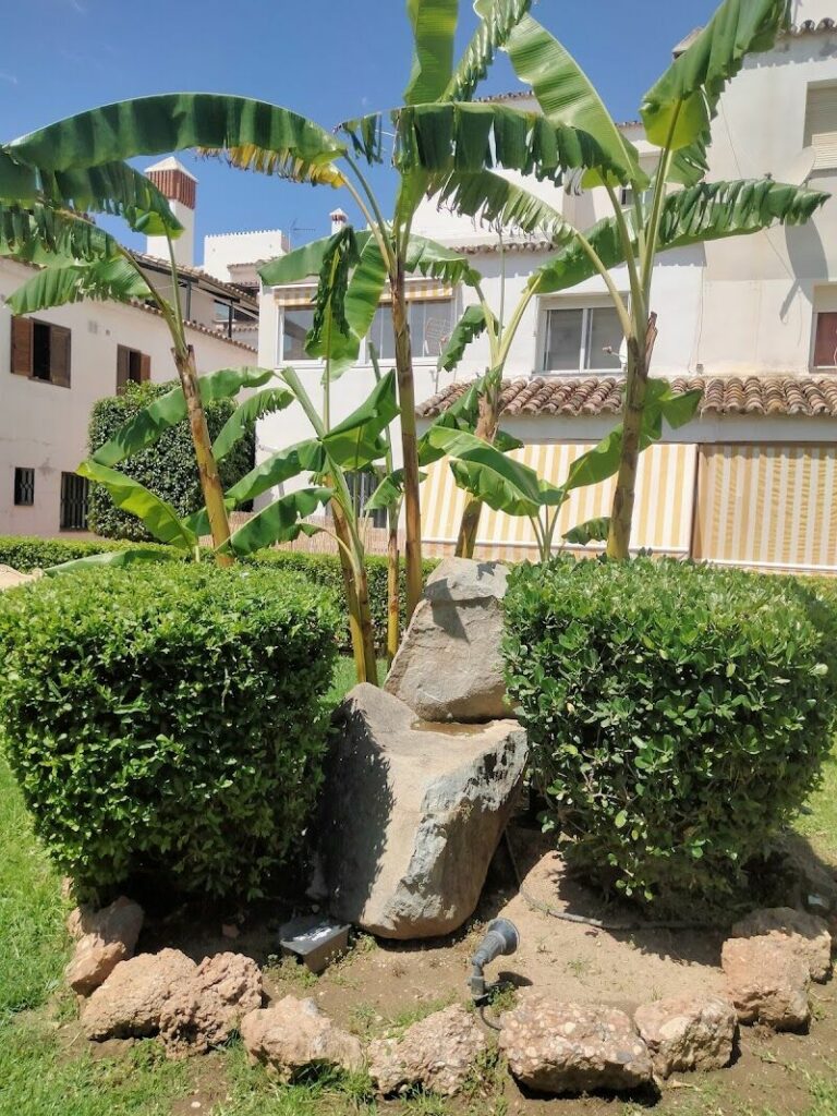 Imagen de Cra Jardinería y Mantenimiento