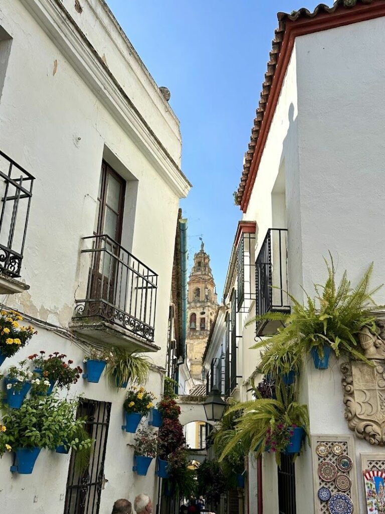 Imagen de Karlina Tours