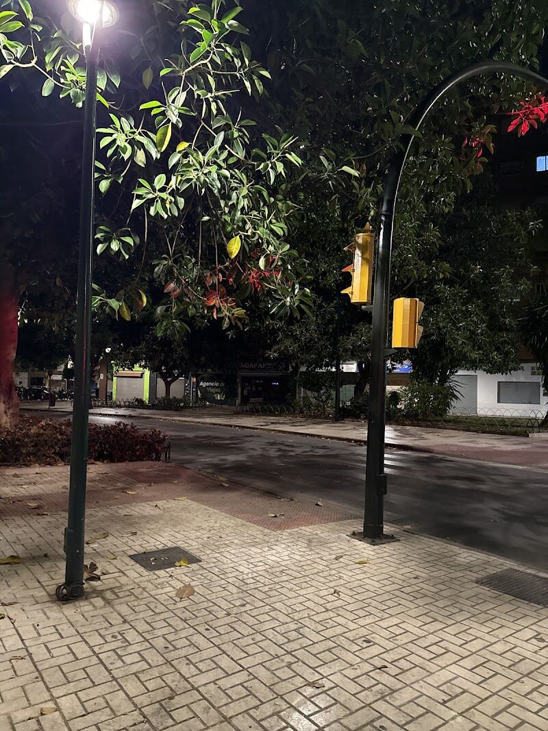 Imagen de negocio en Seguridad para eventos en Malaga