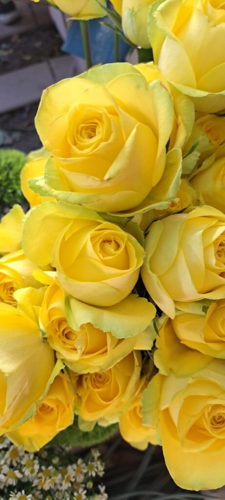 Imagen de ð Nf ð Arte Floral ðµð¸ðª´