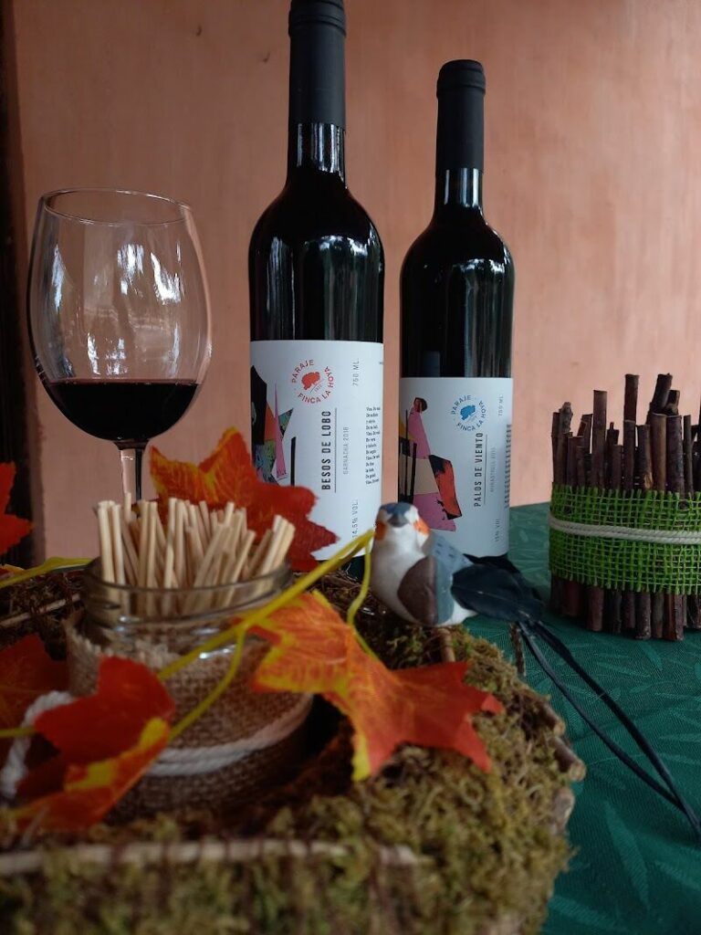 Imagen de Paraje Finca la Hoya. Bodega, Viñedo