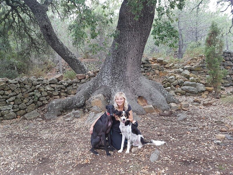 Imagen de Alojamiento Rural Mas de Madalena