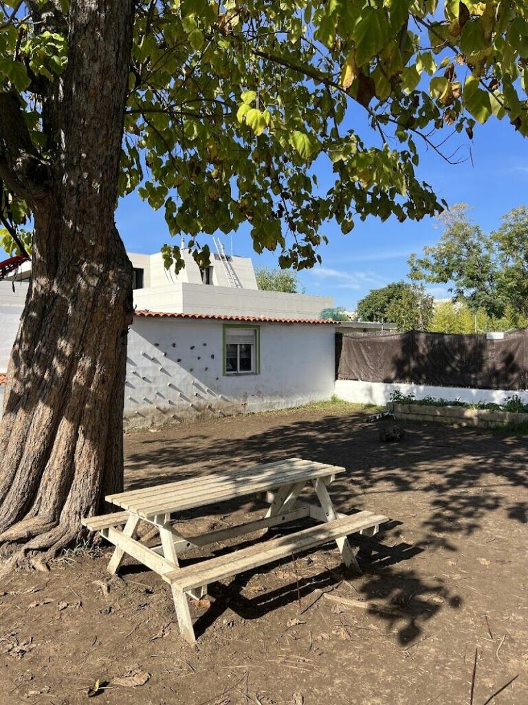 Imagen de Los Lazarillos Escuela Libre Internacional