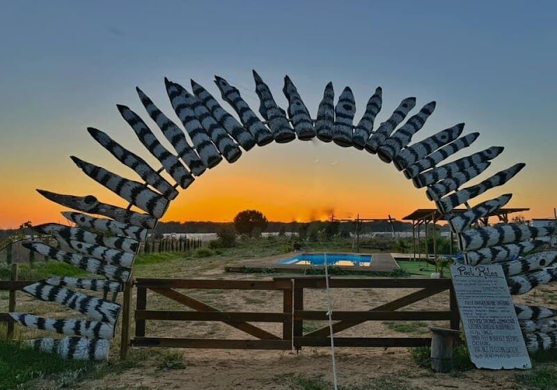 Imagen de negocio en Camping en Provincia de Huelva