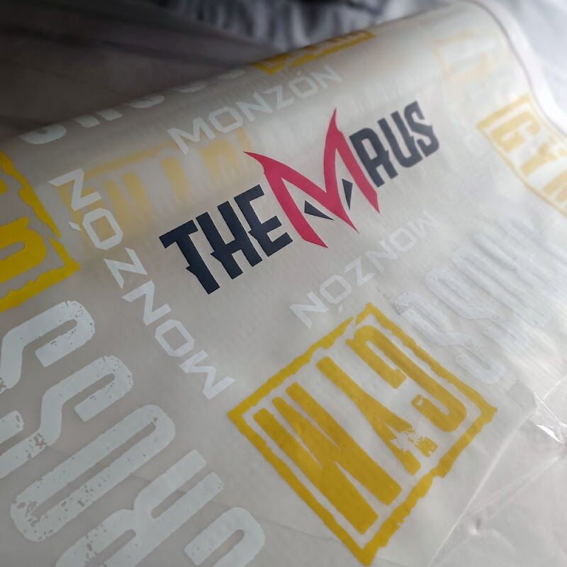 Imagen de We Are Maus