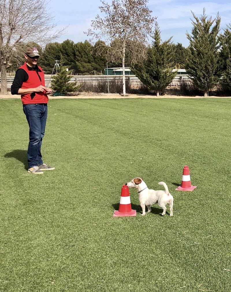 Imagen de negocio en Adiestramiento de mascotas en Provincia de Huesca